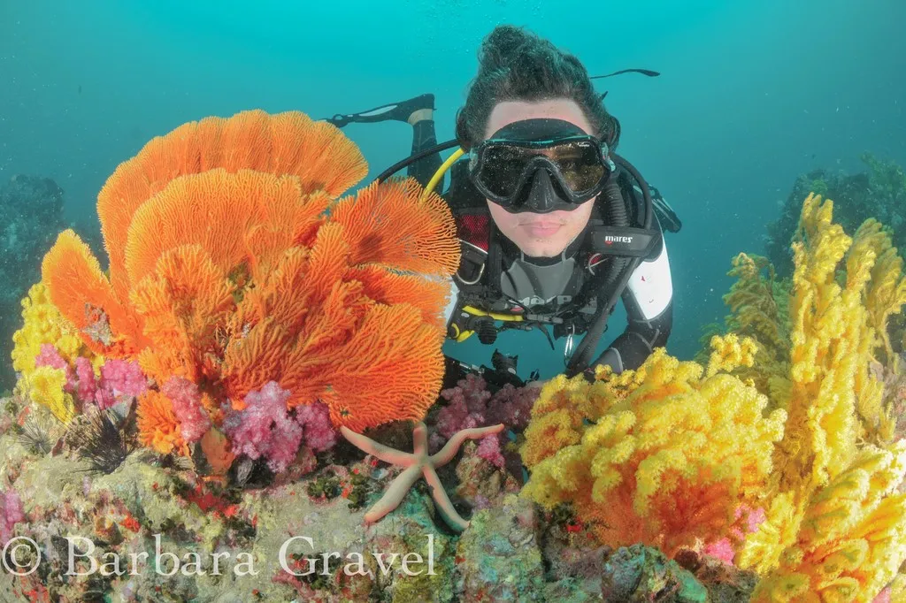 Scuba Dive PADI plongeur CMAS ADIP